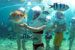 Seawalker, Bali Adventure