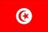 tunisia flag
