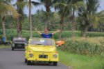 Balinese, VW Village Safari, Volkswagen, Syngenta Group