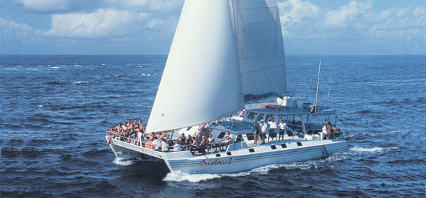 Sea Cruise