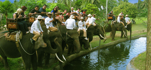 Elephant Ride