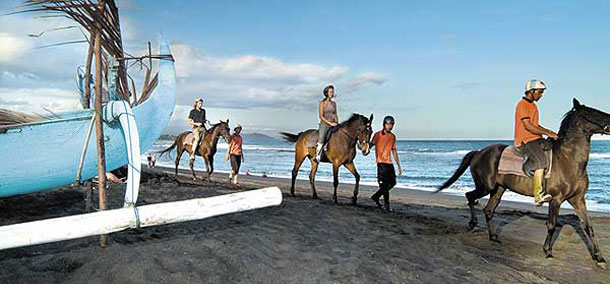 Horse Riding