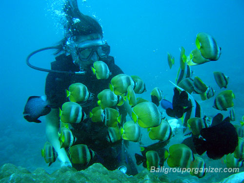 Bali Diving