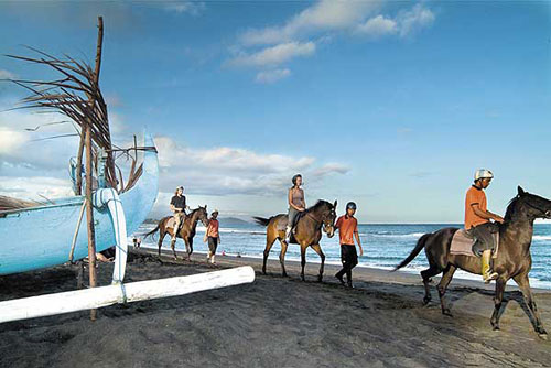Bali Horse Riding