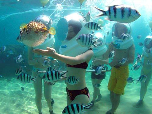 Bali Seawalker