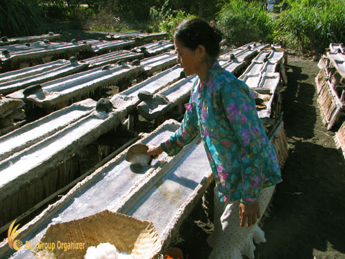 Bali Traditional Salt Making