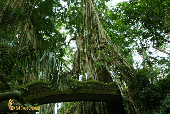 Ubud Monkey Forest