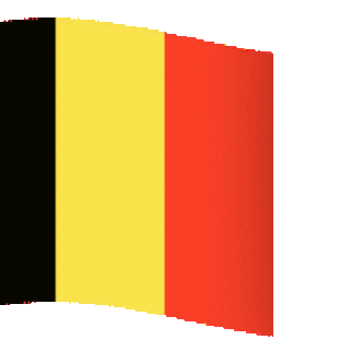 Belgian Consulate Office