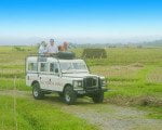bali, land cruise, trips, treasure hunt