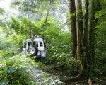 bali, jungle, 4 wd, land cruise, trips