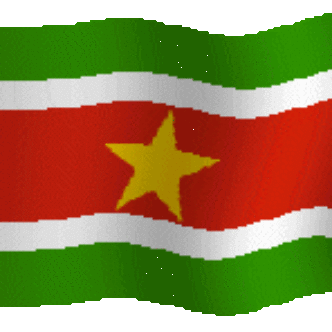 Suriname Consulate Office