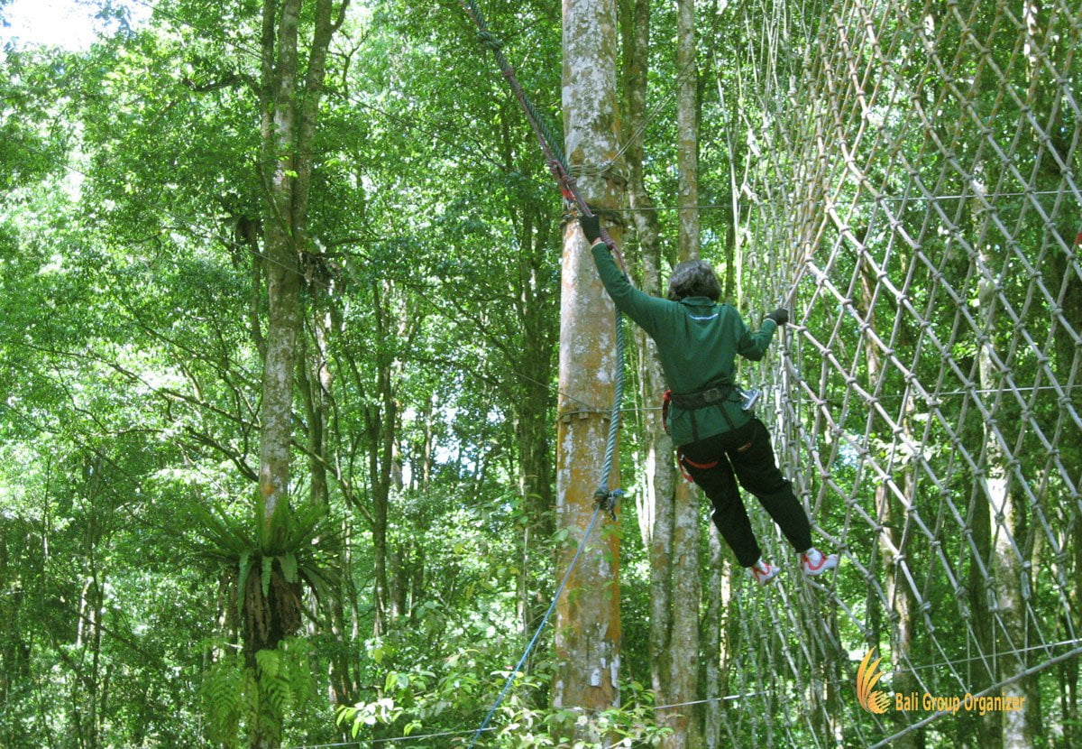 bali, tree, top, adventures, park