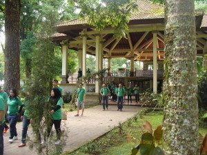 Astra Zeneca, Garden Team Building, Team Building, Face to Fare Theme, Bali Tree Top Adventures Game, Fun Games, Education Games, Group Event, Bedugul, Bali