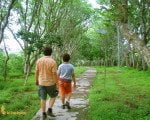 Bali West National Park, bali, west, national, park, trekking, adventures
