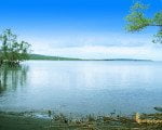 bali, west, national, park, beach