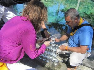 bali fun rally Faronics Corperation, Garden Team Building, Team Building, Fun Games, Education Games, Olympic Phase Games, Water Pyramid Games, Group Event, Bali