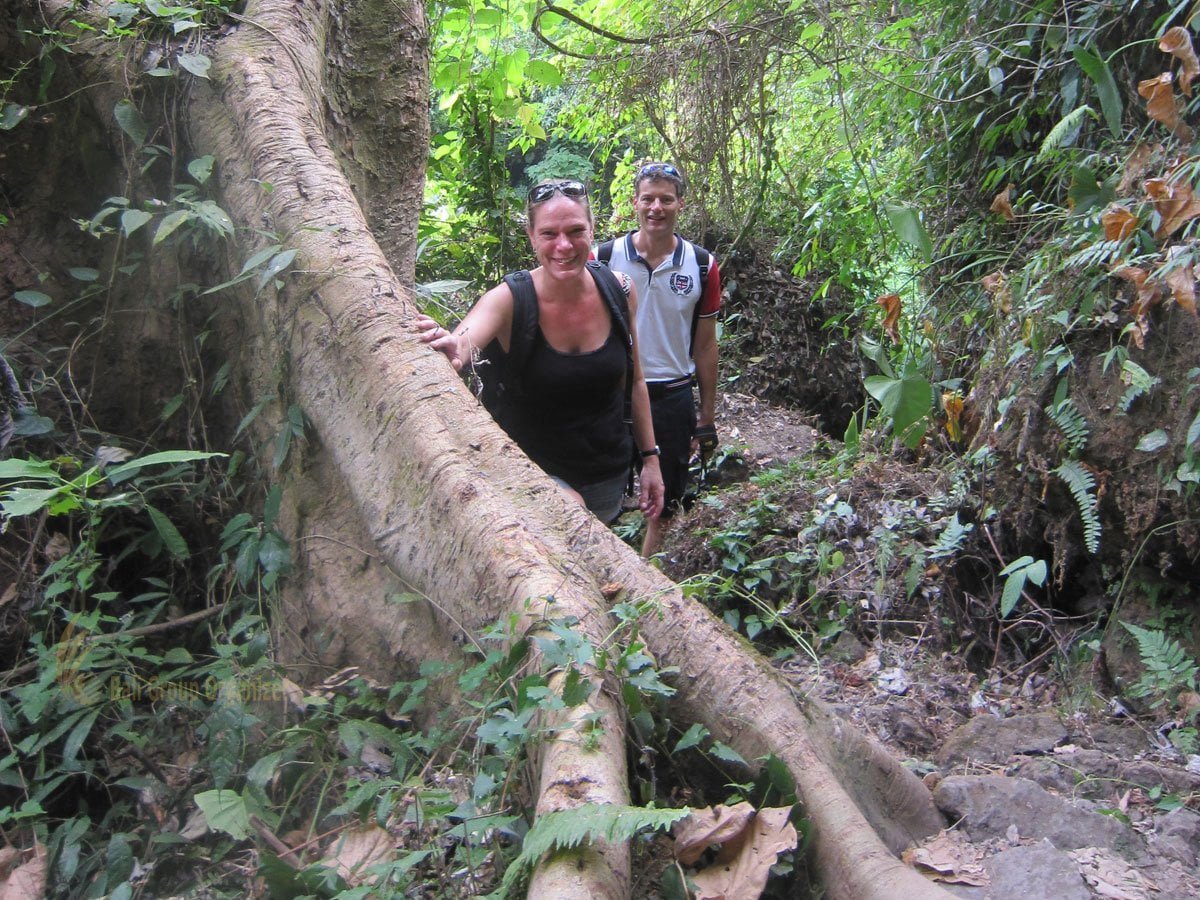 German Swiss International School Hong Kong Bali Education Trip Valley Trekking with Big Tree Sambangan Waterfall, Junggle Trekking, Valley Trekking, Swimming, Waterfall, Bali, Singaraja