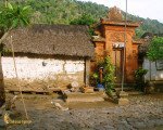 tenganan, bali, karangasem, traditional, village
