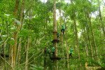 bali, treetop, adventures, team building, bali treetop, bali treetop adventures, activities