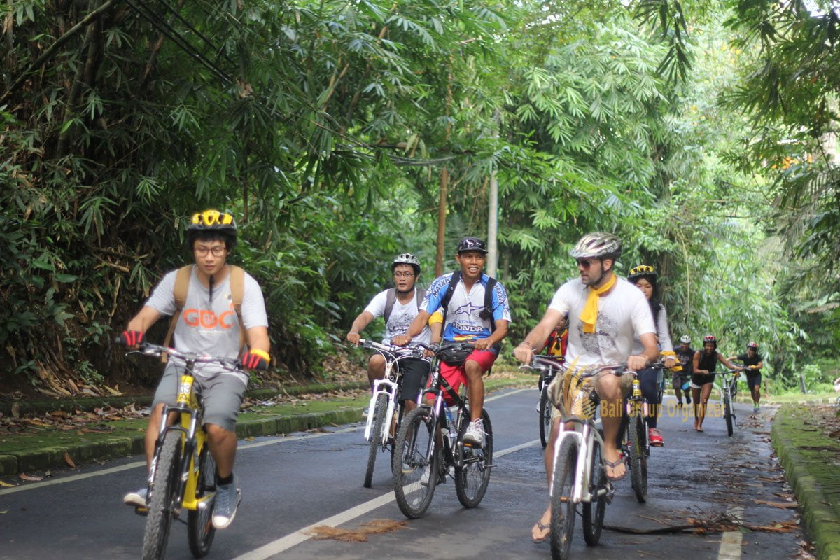 livit-cycling-experience | Bali Group Organizer