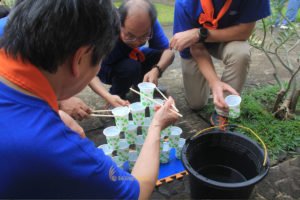 Water pyramid game, syngenta crop protection group