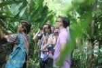 bali coffee plantation, coffee plantation visit, merck incentive group
