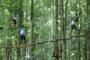 warisan group, monkey track, group monkey track, bali treetop