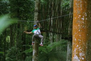 bali treetop, bali treetop flying fox, treetop flying fox, warisan group