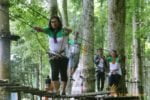 bali treetop green circuit, warisan group