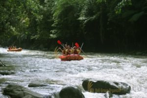 ayung river, ayung river rafting, logitech, logitech group, logitech hong kong