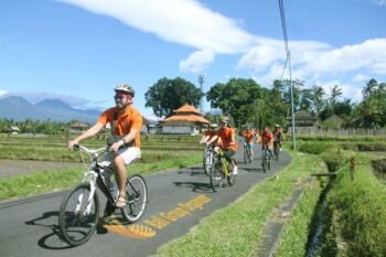 bali rice paddy cycling, rice paddy cycling, weebz mandiri, weebz mandiri group