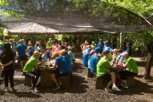 gathering at coffee plantations, Swiss Re Asia, asia group, bali group events, bali vw safari, vw safari uluwatu expedition
