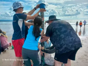 Bali Water Games - Wolters Beach Team Building water games, water tower games, beach games, beach team building, Wolters Kluwer Group