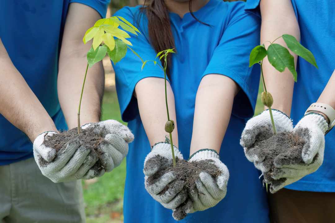 Bali tree planting, CSR environmental program, Sustainable tourism Bali