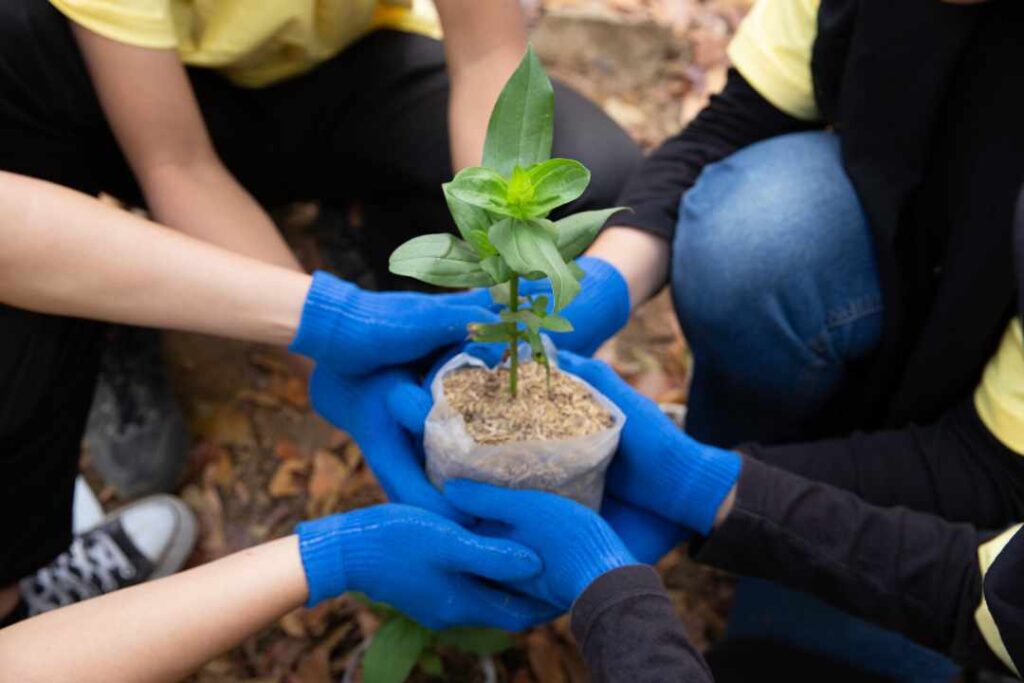 Bali tree planting, CSR environmental program, Sustainable tourism Bali