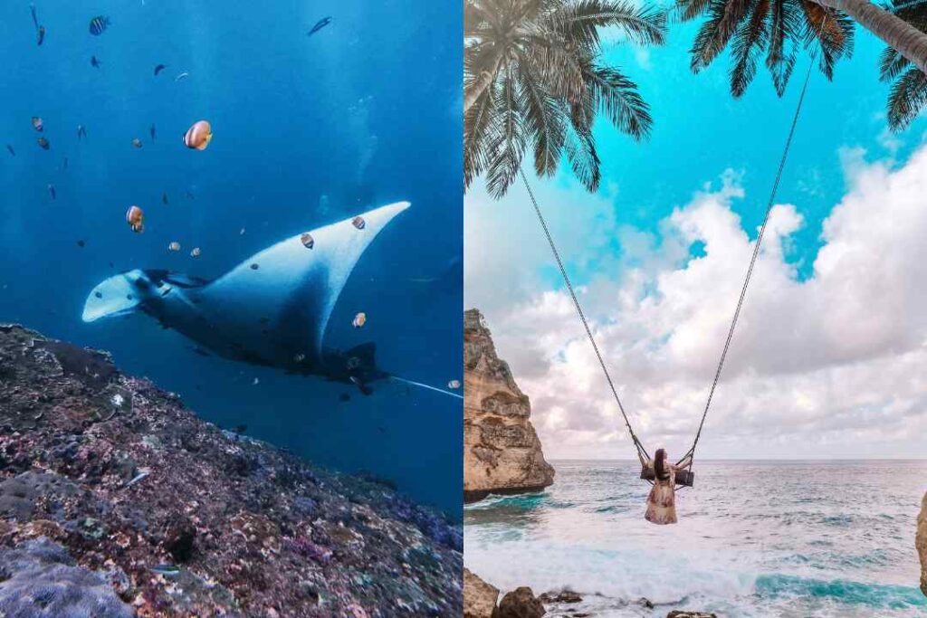 Red Bull Bali, Cliff Diving 2026, Bali Sports Event, Bali Cliff Diving, Nusa Penida Adventure, Kroya Waterfall Bali, North Bali Attraction, Bali Event Organizer, Bali Group Organizer