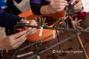 Konica Minolta Group, Bali Event Summit, Bali Incentive Trip, Bali Group Organizer, Corporate Event Bali, Gala Dinner Bali, VW Safari Bali, CSR Coral Planting Bali