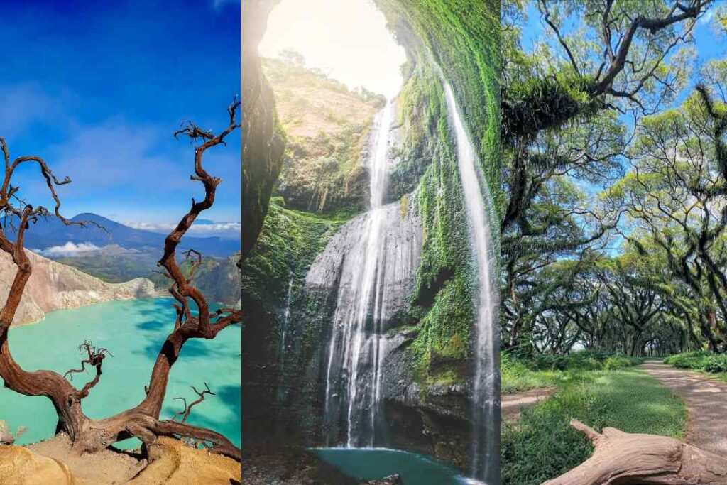 East Java Group Trip, Mount Bromo Tour, Mount Ijen Tour, Tumpak Sewu Waterfall, East Java Adventure, Corporate Group Tour Indonesia, East Java Nature Tour, East Java Travel from Bali, Bali Group Organizer