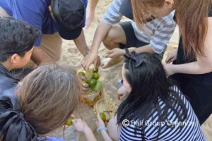 Xenith IG Group, Bali Team Building, Bali Group Organizer Beach Team Building Bali, Corporate Team Building Bali, Team Building Activities Bali, Company Outing Bali, Corporate Event Bali, Corporate Retreat Bali